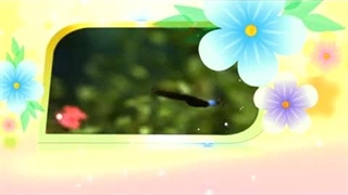 آموزش اسماء الحسنی با معنا - 02 رحمن