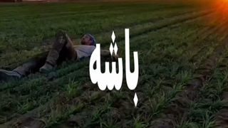باشه...