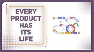 Product life cycle