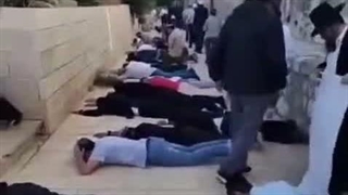رکوع و سجود ما مسلمونا خرافاته؟!؟....حکم پَهن شدن کف زمین چیه؟!!....