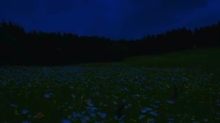 آرامش قبل خواب