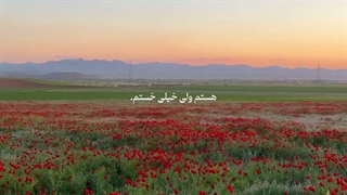 ویرانم ولی میرانم